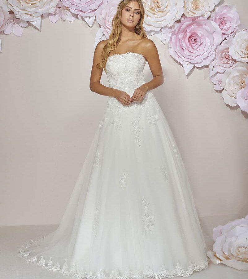 COLLECTOR/ ROBE 204 - 08