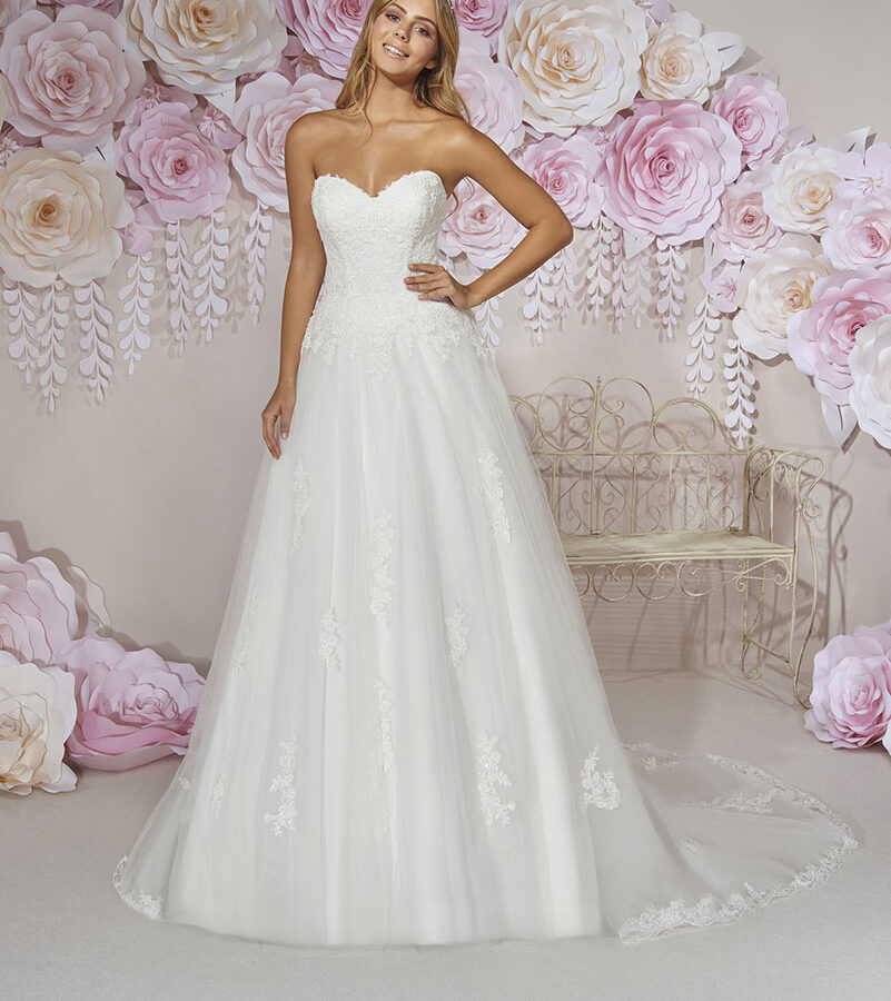 COLLECTOR/ ROBE 204 - 14